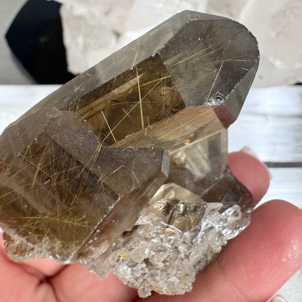 Smokey Quartz Cluster With Golden Rutile Brazil - Picture 2 of 9